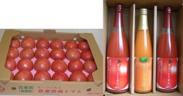 鳥取日南町産 フレッシュトマトとジュースセットの特産品画像