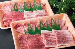 鳥取和牛 極上焼肉セットの特産品画像