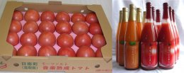 鳥取日南発 フレッシュトマトとジュースの健康セットの特産品画像