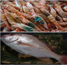 特選　鳥取四季の旬鮮魚セットの特産品画像