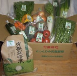 有機ＪＡＳ認定　季節の有機野菜とお米の詰合せセットの特産品画像