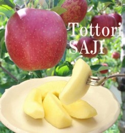ふじリンゴの特産品画像