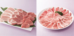 【頒布会】豚肉・鳥取和牛食べ比べコース(全2回のお届け)の特産品画像