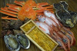 『境港の全部を食す』旬のお魚宅配便（全4回）の特産品画像