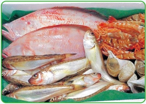 日本海旬の鮮魚セットの特産品画像