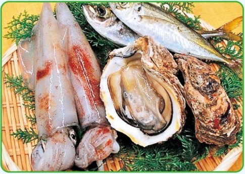 おまかせ魚介類セット 四季折々の旬の魚介類おまかせセットの特産品画像