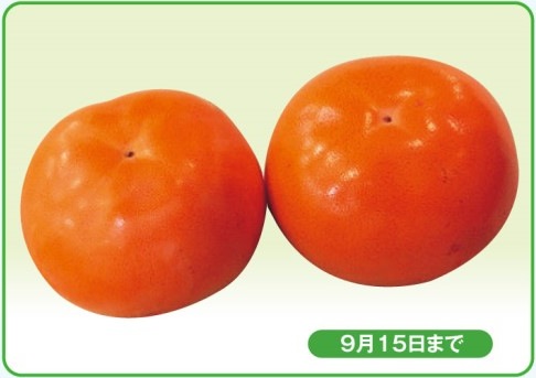 輝太郎（柿）の特産品画像