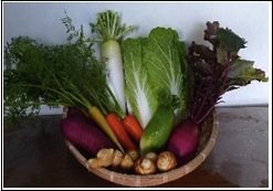 こだわりの秋冬野菜セットの特産品画像