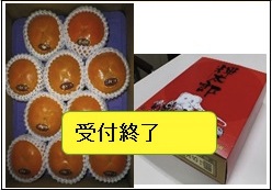 輝太郎柿の特産品画像