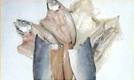 泊漁港で水揚げされた魚介類の一夜干しセットの特産品画像