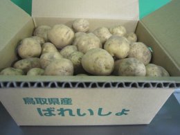 【米・野菜】馬鈴薯（デジマ）の特産品画像