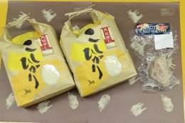 【米・野菜】琴浦町産の天日干しコシヒカリ６ｋｇ　東伯和牛ベーコン付きの特産品画像