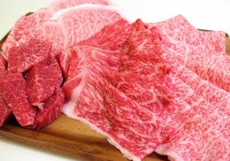【お肉】東伯和牛オレイン55特選盛りの特産品画像