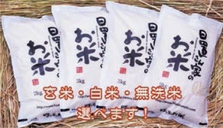 プレミアム(定期便) 日置さん家のお米 選べる12か月定期便(3kg×4袋)×12か月の特産品画像
