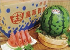 大栄西瓜の特産品画像