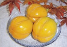 西条柿の特産品画像