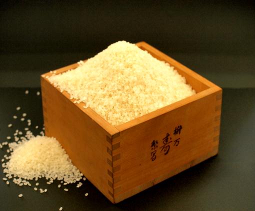 合鴨米コシヒカリ１５㎏の特産品画像