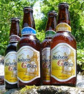 大山Gビール 12本の特産品画像