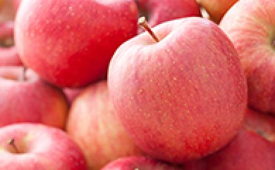 多里産リンゴ詰合せ5ｋｇの特産品画像