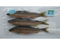 高津川天然鮎（ＣＡＳ冷凍）3尾×2袋の特産品画像