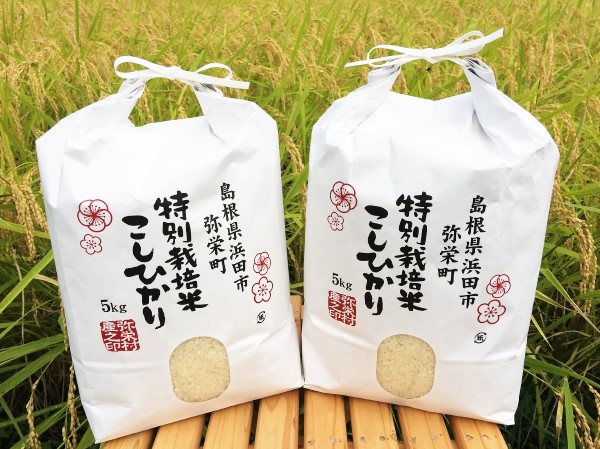 弥栄町産コシヒカリ（特別栽培米）１０Kgの特産品画像
