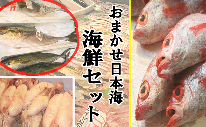 おまかせ日本海海鮮セット(生)の特産品画像