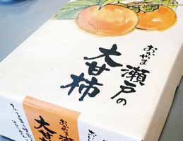 瀬戸の大甘柿 太秋柿 約2kgの特産品画像