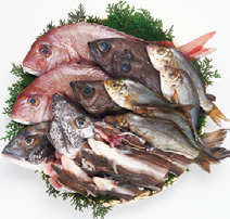 瀬戸内焼魚用セット（冷凍）の特産品画像