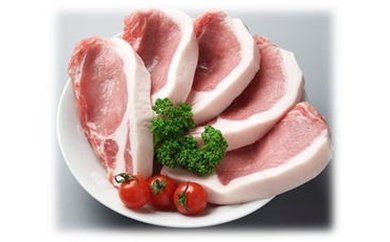 美星豚肉(ロース肉100g×5枚)の特産品画像