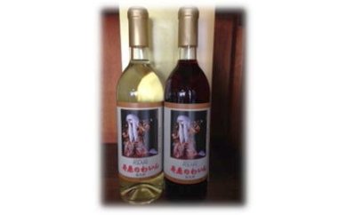 井原ワイン(赤・白2本セット)の特産品画像