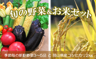 旬の野菜＆お米2kgセットの特産品画像