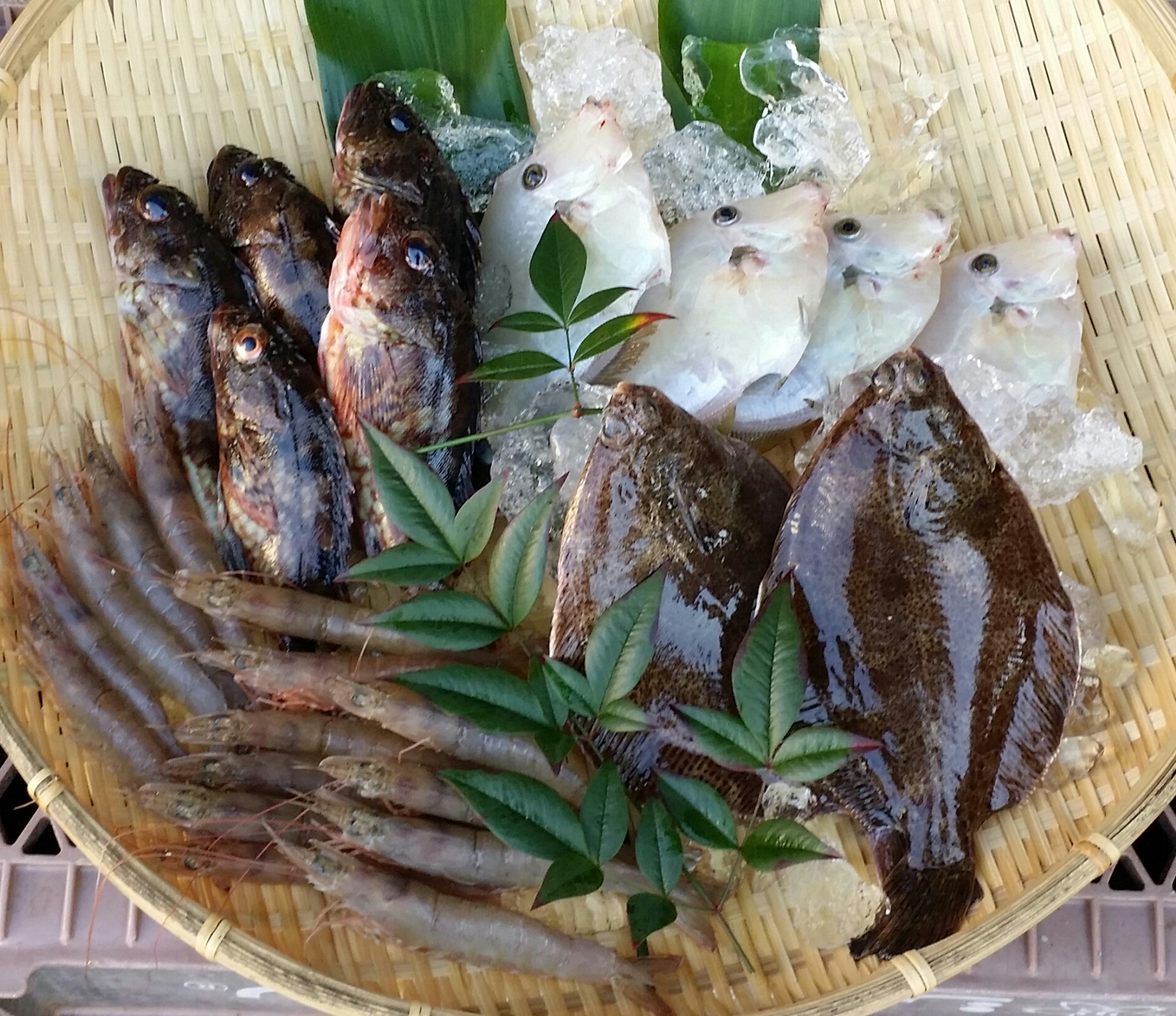 瀬戸内海産　旬の魚セットの特産品画像