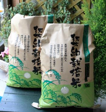美作市産　なの花米（コシヒカリ・あきたこまち 各10g）の特産品画像