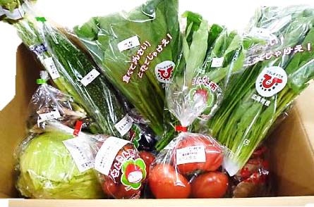 直送野菜おまかせパックの特産品画像