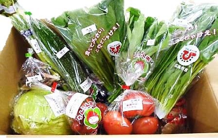 直送野菜おまかせパック(6ヵ月分)の特産品画像