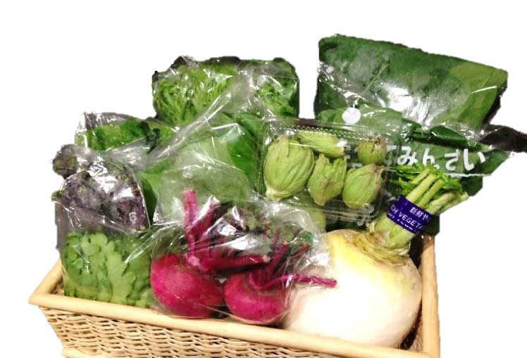 季節の野菜セット(6ヵ月分)の特産品画像