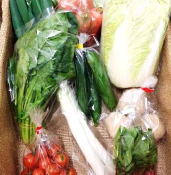 新鮮野菜の産直セットの特産品画像