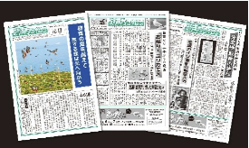 地方紙　瀬戸内タイムス（１年間購読）の特産品画像