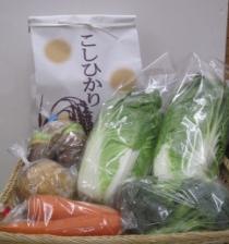 お米と季節の野菜セットの特産品画像