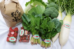 石井町産★美味しい野菜＆お米の詰め合わせセットの特産品画像