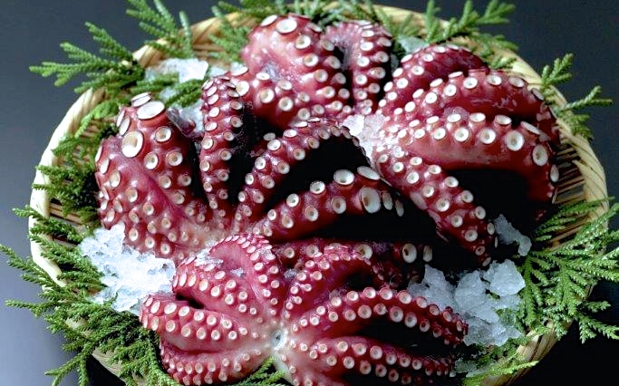 さぬき蛸の特産品画像