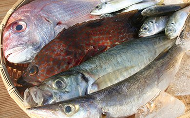 小豆島産　鮮魚詰合せ約3kgの特産品画像
