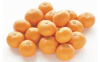 季節の柑橘(温州みかん）の特産品画像