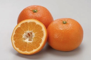季節の柑橘(伊予柑）の特産品画像