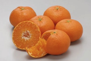 季節の柑橘(甘平）の特産品画像