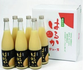 季節の柑橘(はるかジュース）の特産品画像