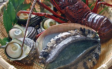 天然活魚おまかせセットの特産品画像