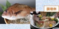 久良の真鯛の特産品画像