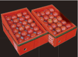 特選徳谷トマト生産者52番１kgと生産者7番１kgの特産品画像