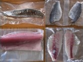 室戸産　新鮮地魚３種お造りセットの特産品画像